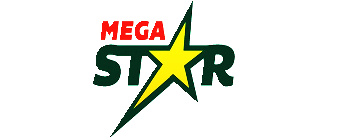 Megastar Millers Limited